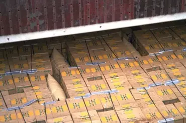 Cargo Protector térkitöltő légzsákok használata hajó rakodóterében Cargo Protector térkitöltő légzsákok használata hajó rakodóterében